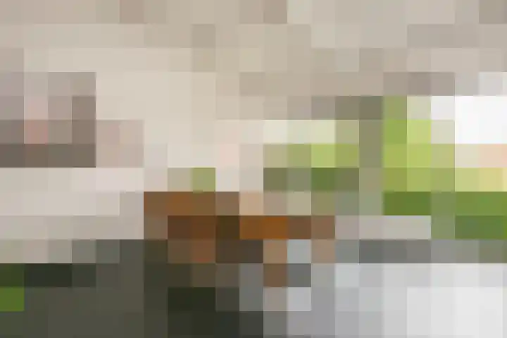 Noormannenstraat 6 Wijk bij Duurstede thumbnail 17