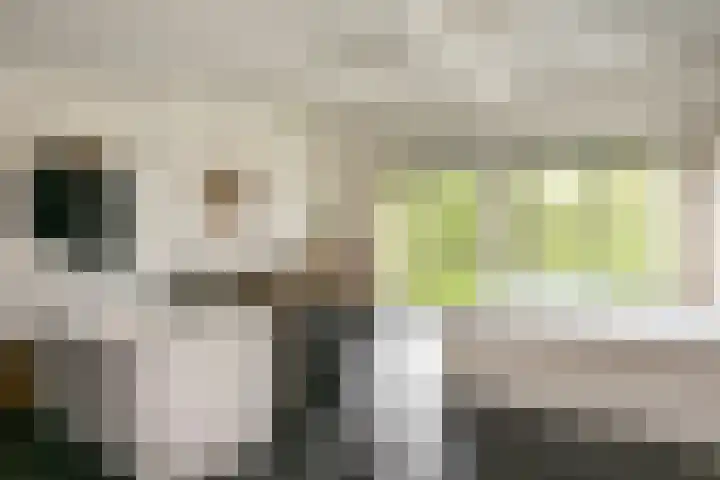 Noormannenstraat 6 Wijk bij Duurstede thumbnail 21