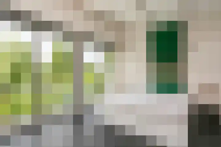 Noormannenstraat 6 Wijk bij Duurstede thumbnail 22