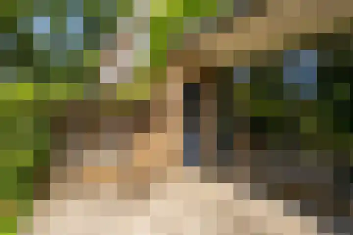 Noormannenstraat 6 Wijk bij Duurstede thumbnail 33