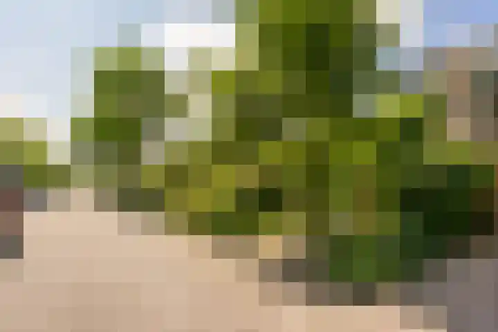 Noormannenstraat 6 Wijk bij Duurstede thumbnail 38
