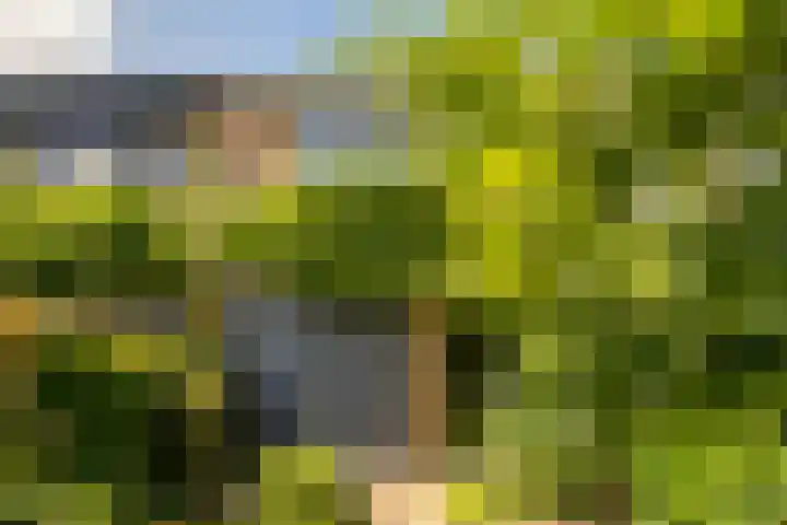 Noormannenstraat 6 Wijk bij Duurstede thumbnail 5