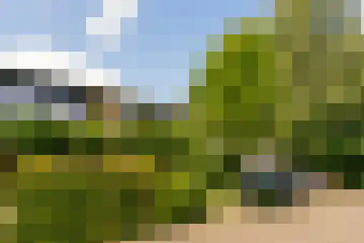 Noormannenstraat 6 Wijk bij Duurstede thumbnail 6