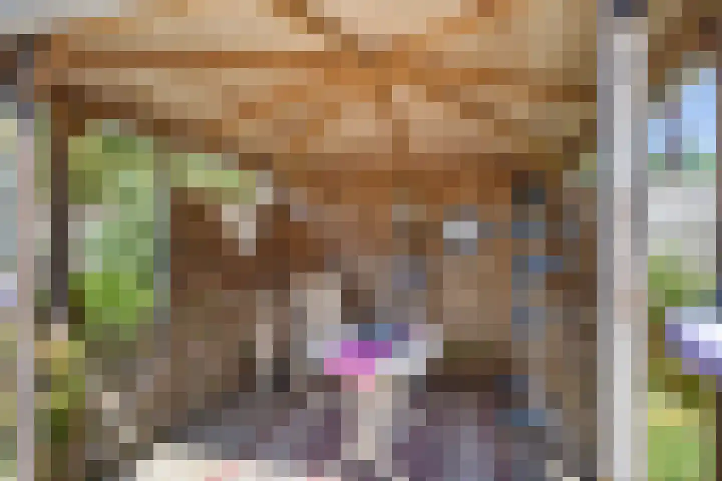 Noormanstrjitte 1 Wijnjewoude thumbnail 26