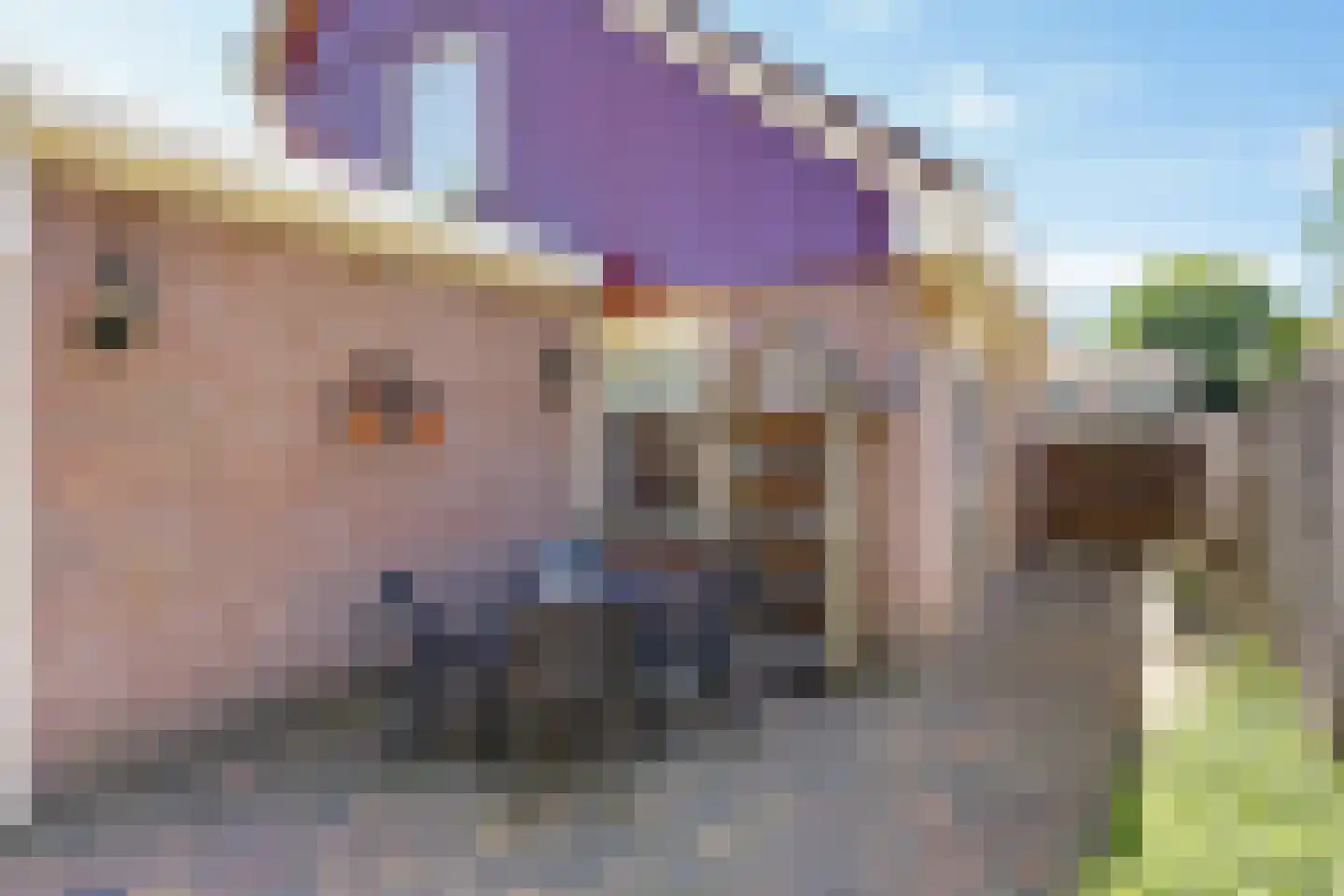 Noormanstrjitte 1 Wijnjewoude thumbnail 29