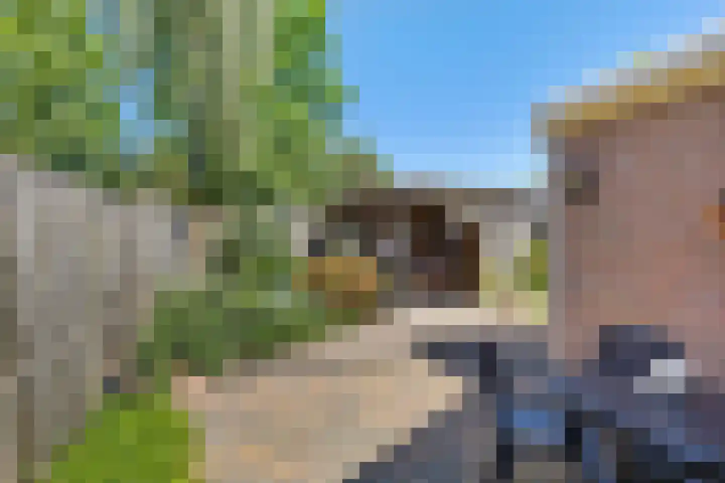 Noormanstrjitte 1 Wijnjewoude thumbnail 31