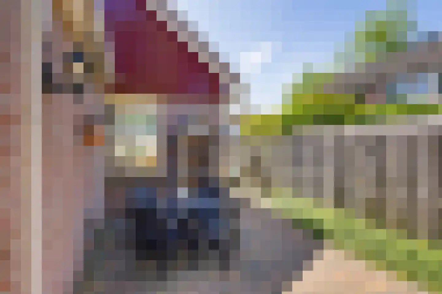 Noormanstrjitte 1 Wijnjewoude thumbnail 32