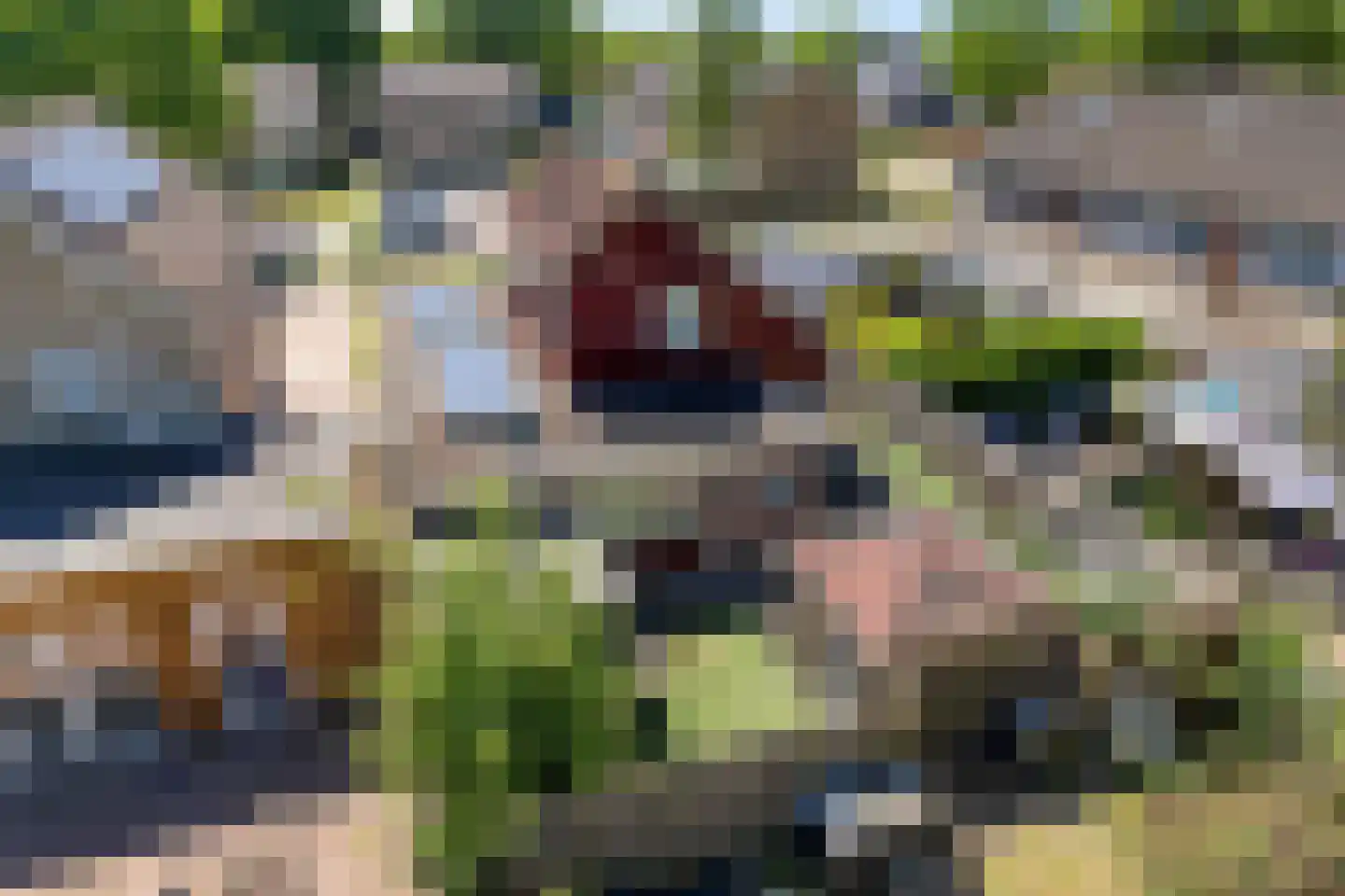 Noormanstrjitte 1 Wijnjewoude thumbnail 33