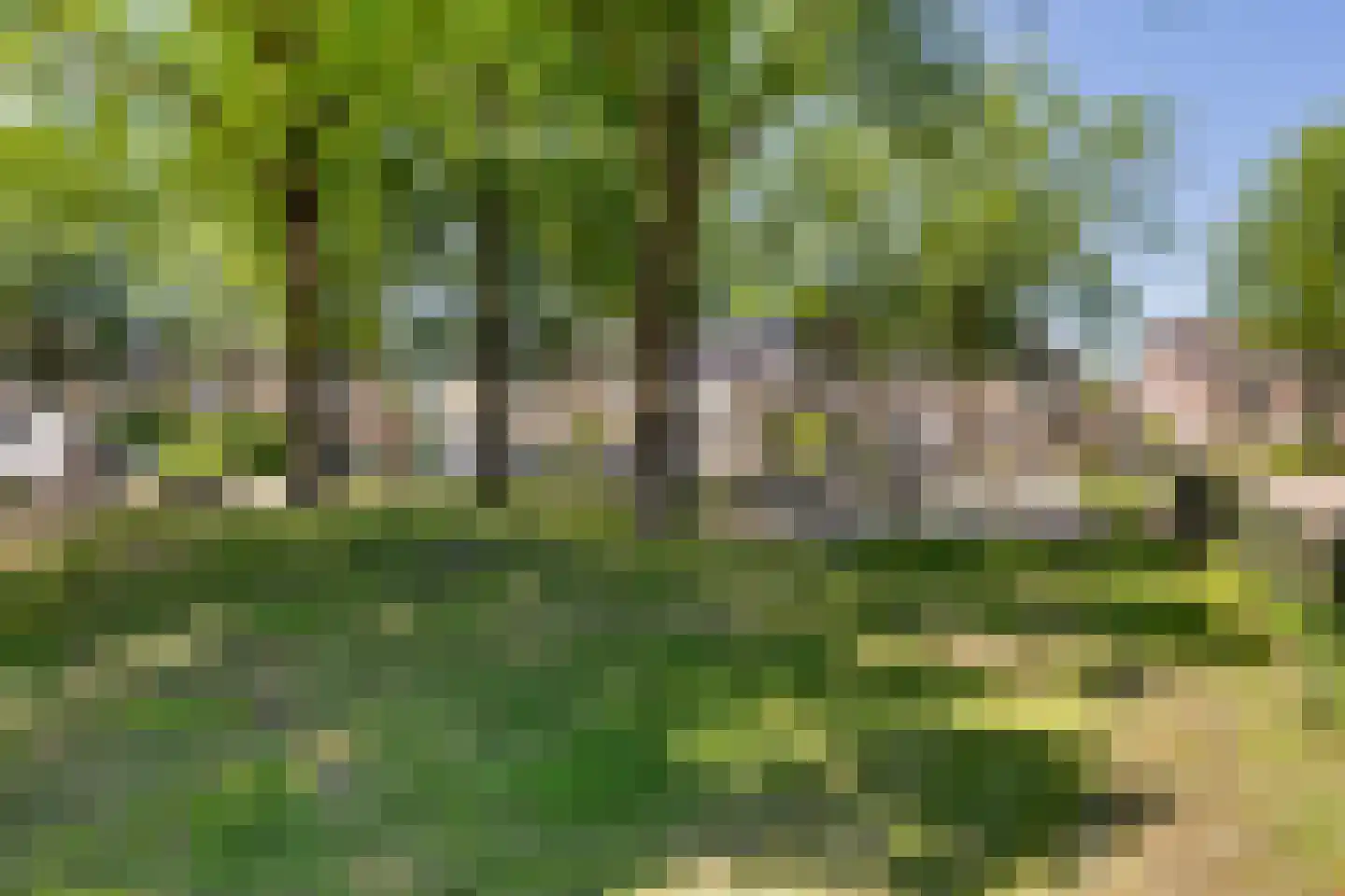 Noormanstrjitte 1 Wijnjewoude thumbnail 44