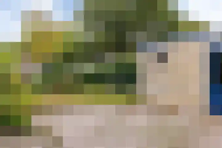Noormanstrjitte 12 Wijnjewoude thumbnail 15