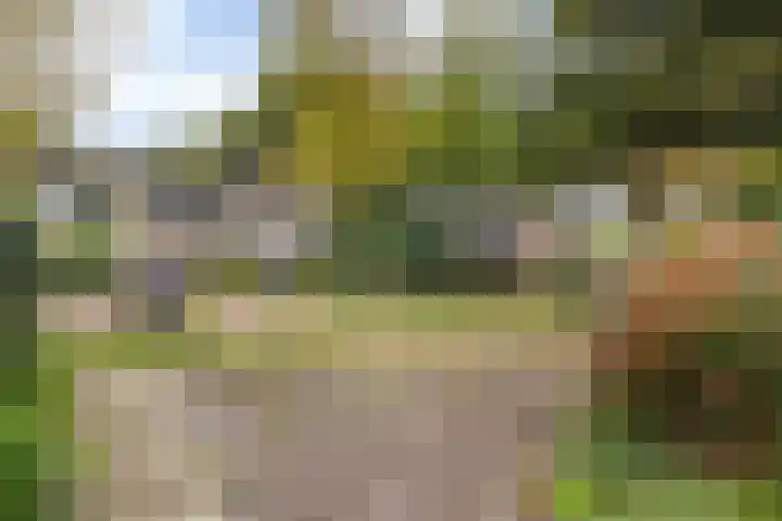 Noormanstrjitte 12 Wijnjewoude thumbnail 18