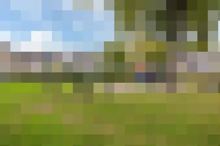 Noormanstrjitte 12 Wijnjewoude thumbnail 30