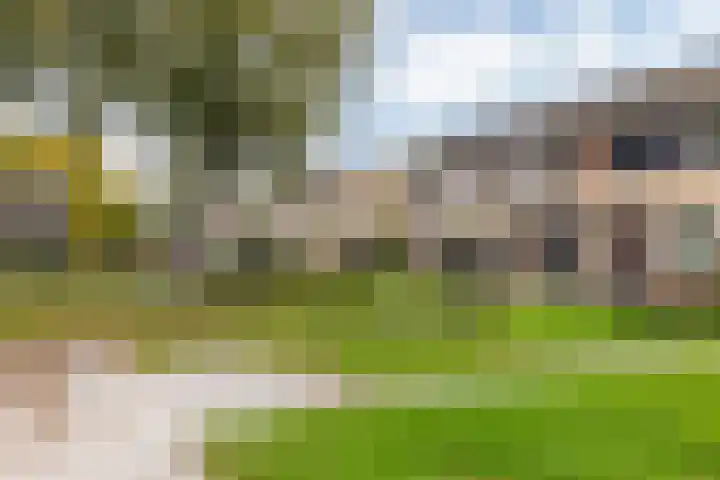 Noormanstrjitte 12 Wijnjewoude thumbnail 31