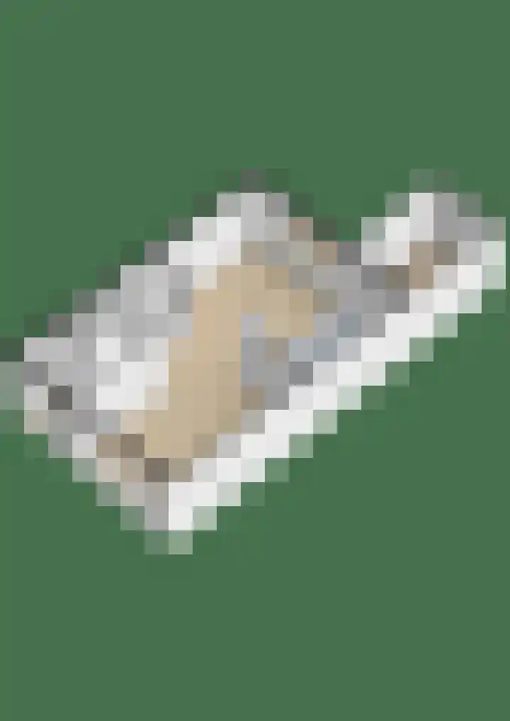 Noormanstrjitte 12 Wijnjewoude thumbnail 35
