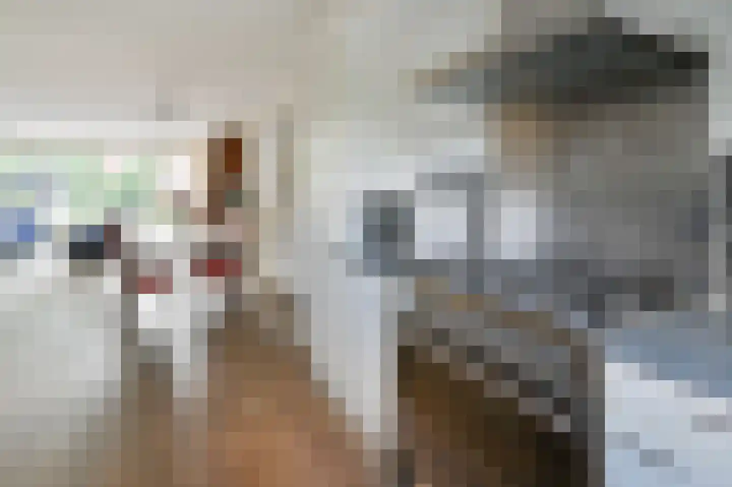 Noorse Lijster 11 Uithoorn thumbnail 10