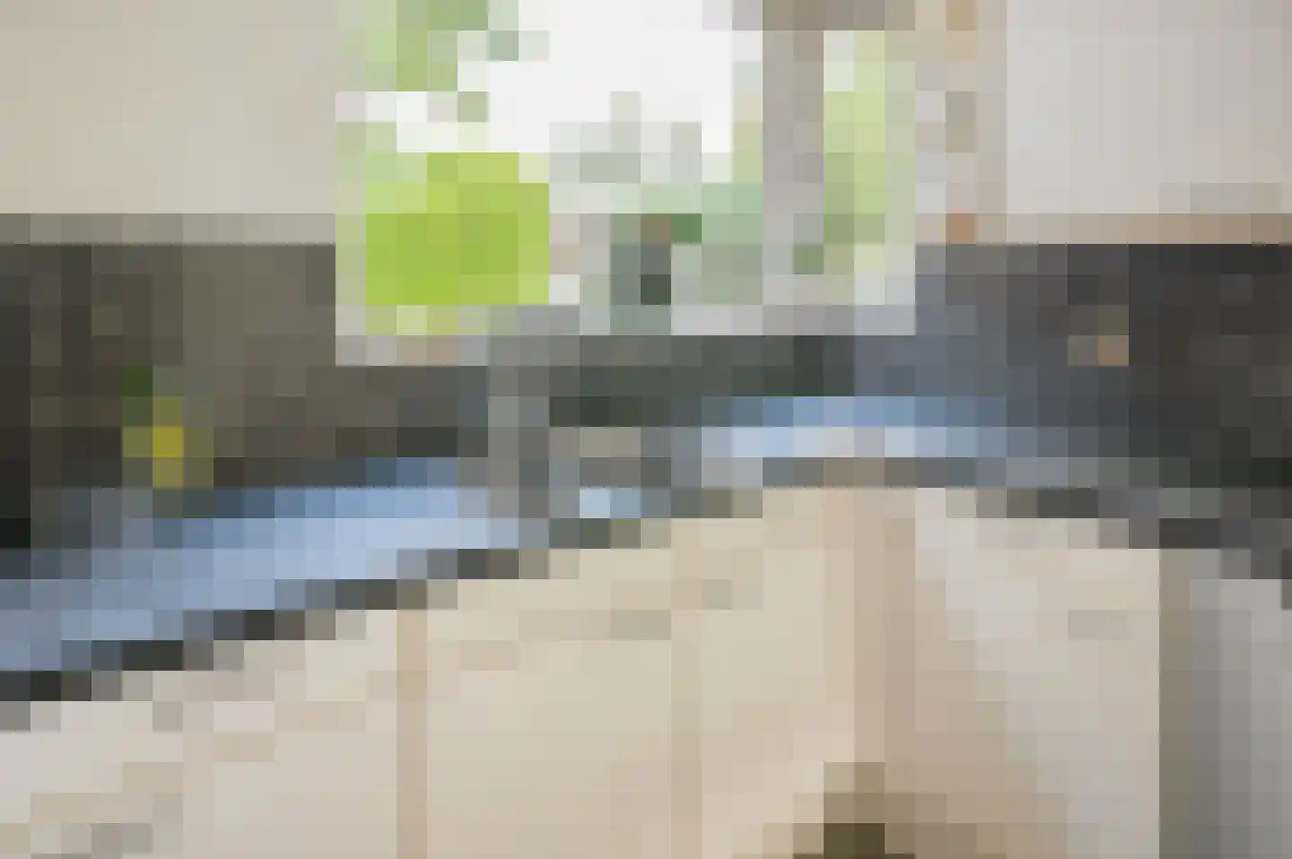 Noorse Lijster 11 Uithoorn thumbnail 12