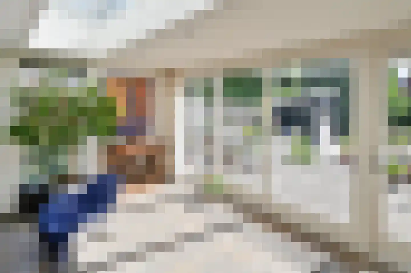 Noorse Lijster 11 Uithoorn thumbnail 14