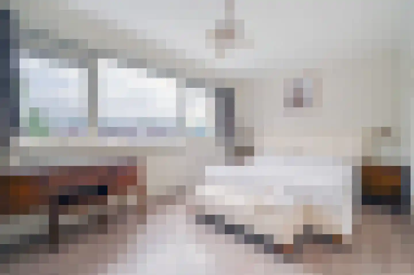 Noorse Lijster 11 Uithoorn thumbnail 17