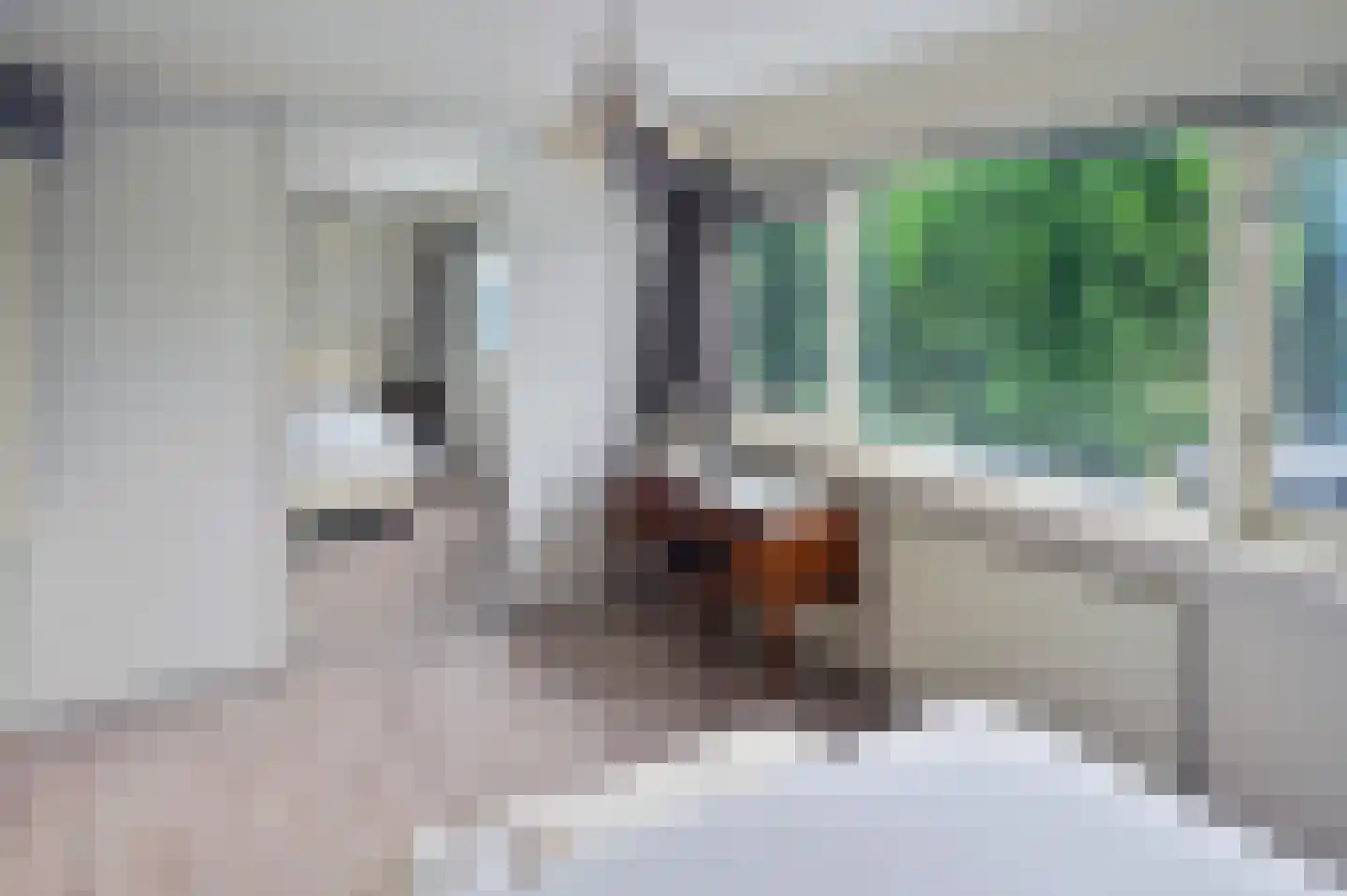 Noorse Lijster 11 Uithoorn thumbnail 18
