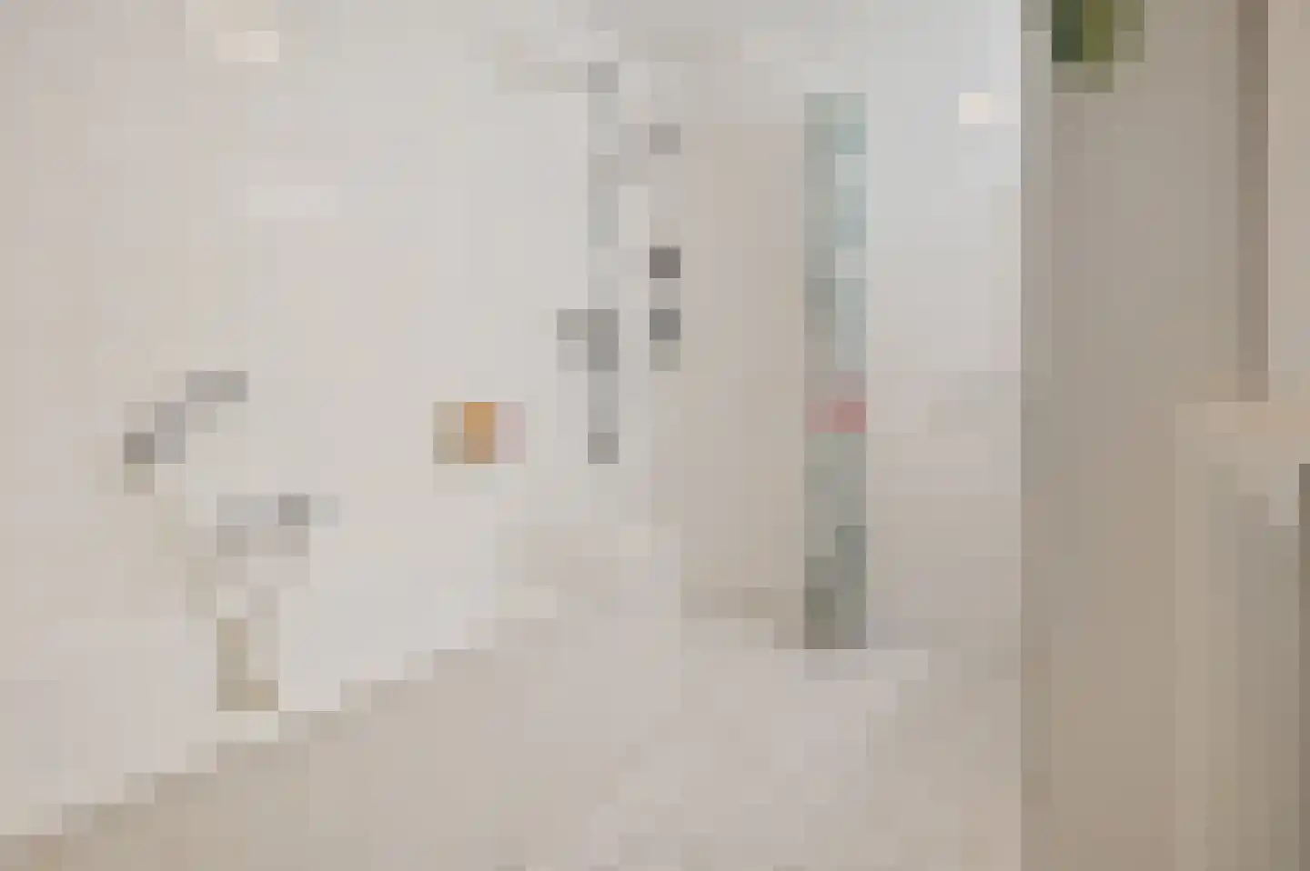 Noorse Lijster 11 Uithoorn thumbnail 19