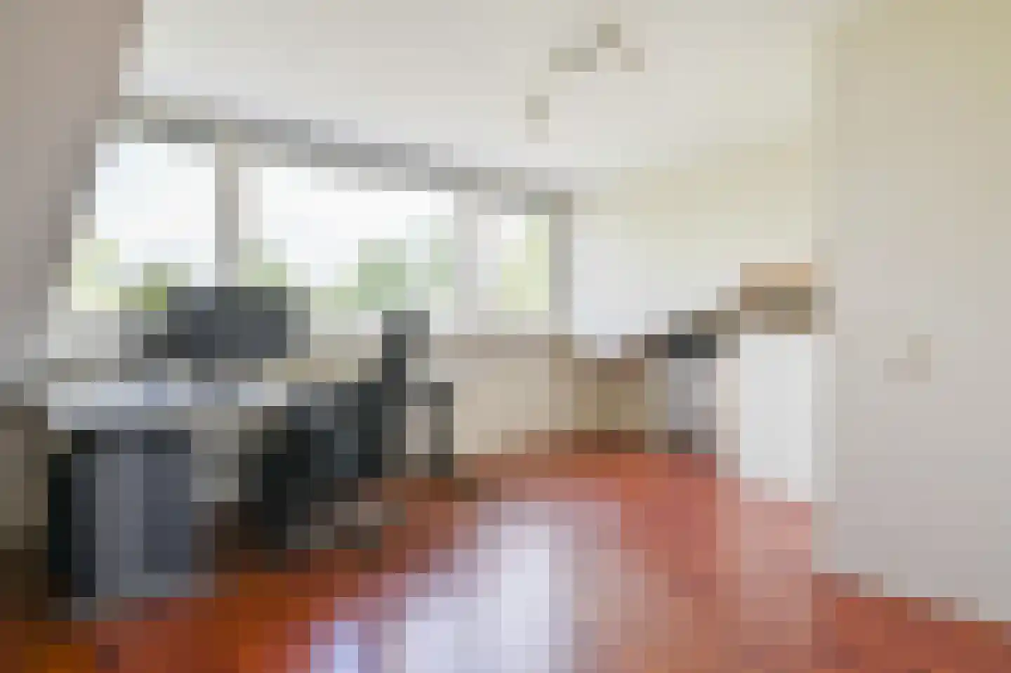 Noorse Lijster 11 Uithoorn thumbnail 23