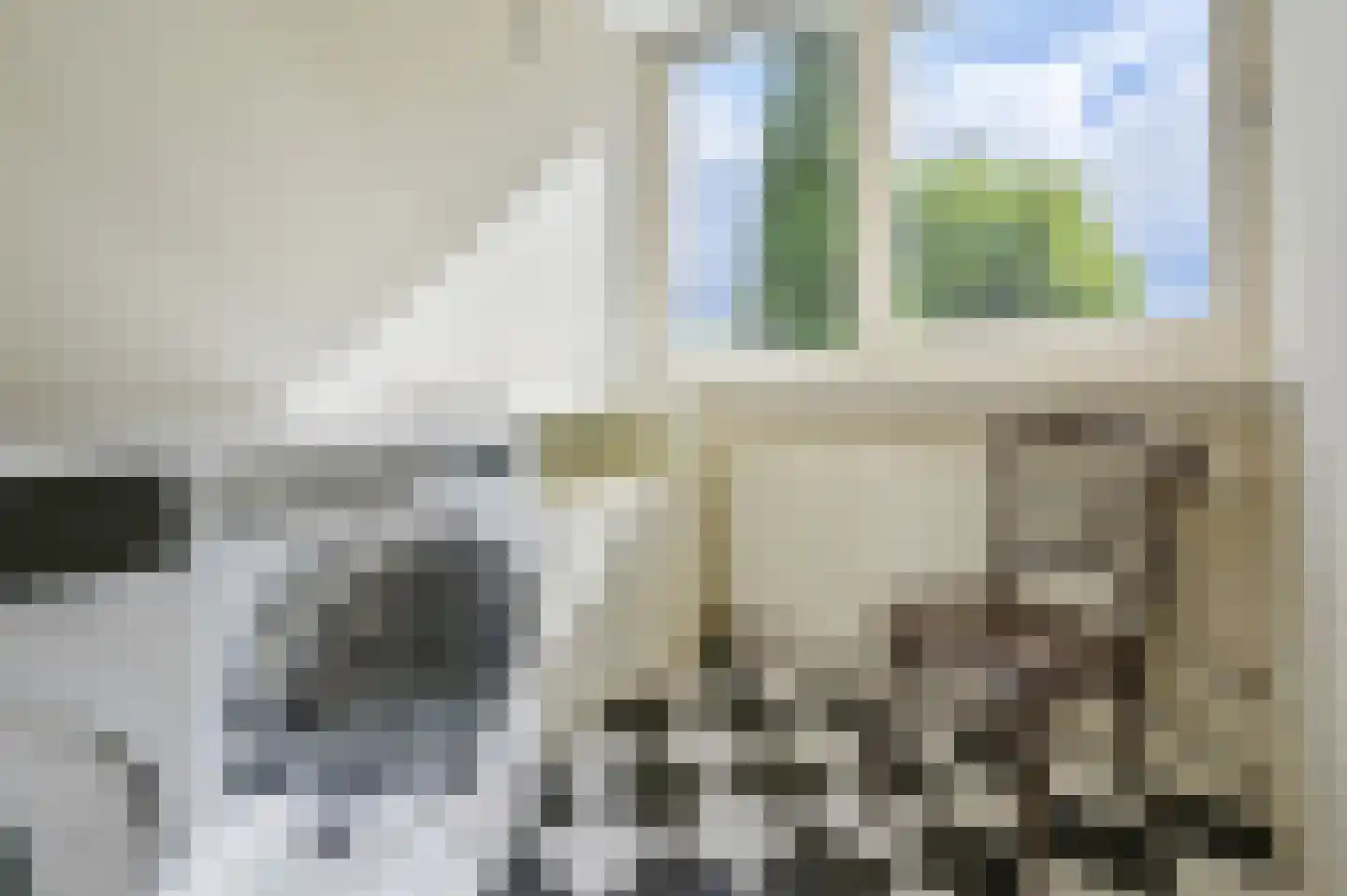 Noorse Lijster 11 Uithoorn thumbnail 25