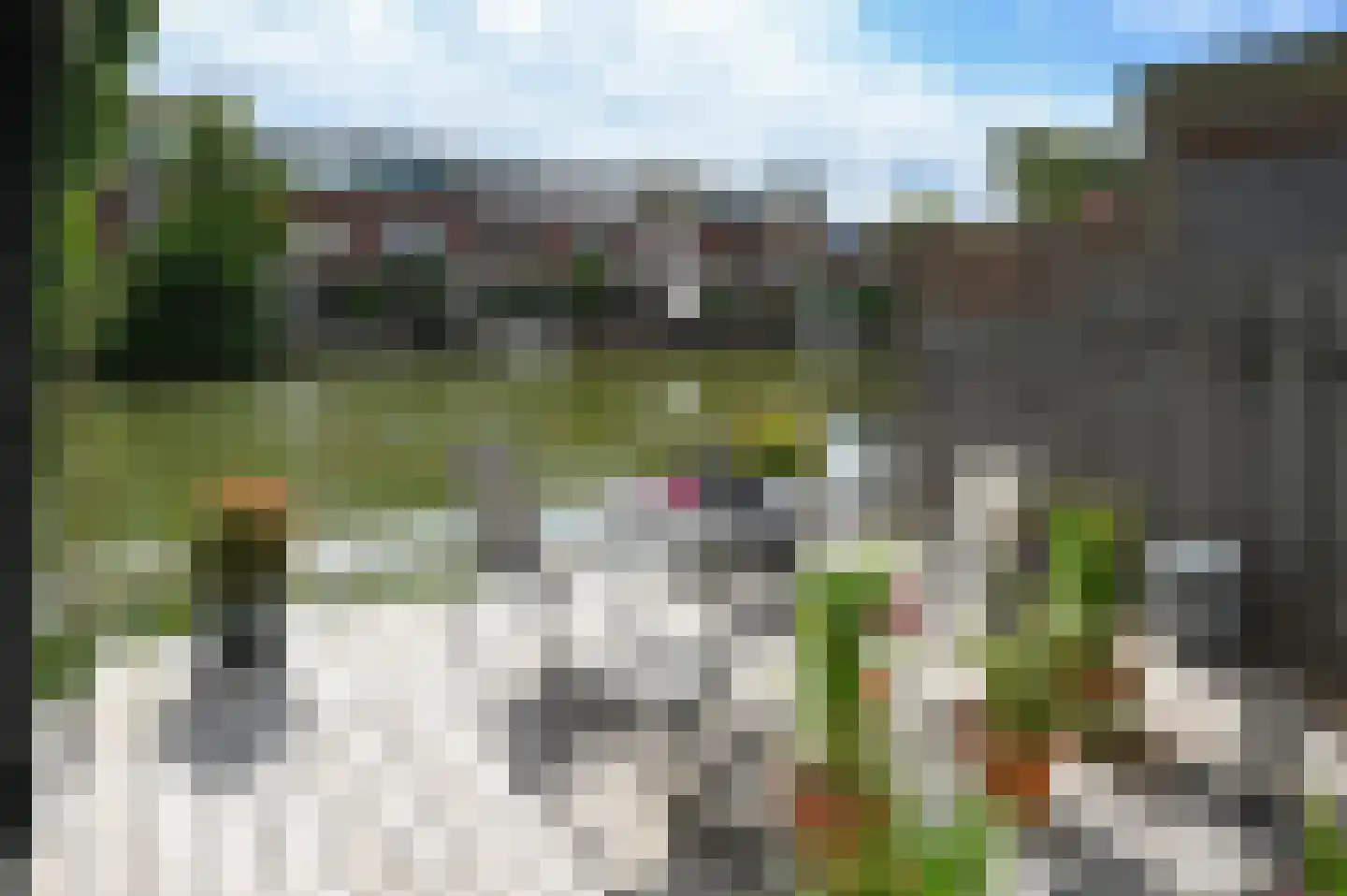 Noorse Lijster 11 Uithoorn thumbnail 28