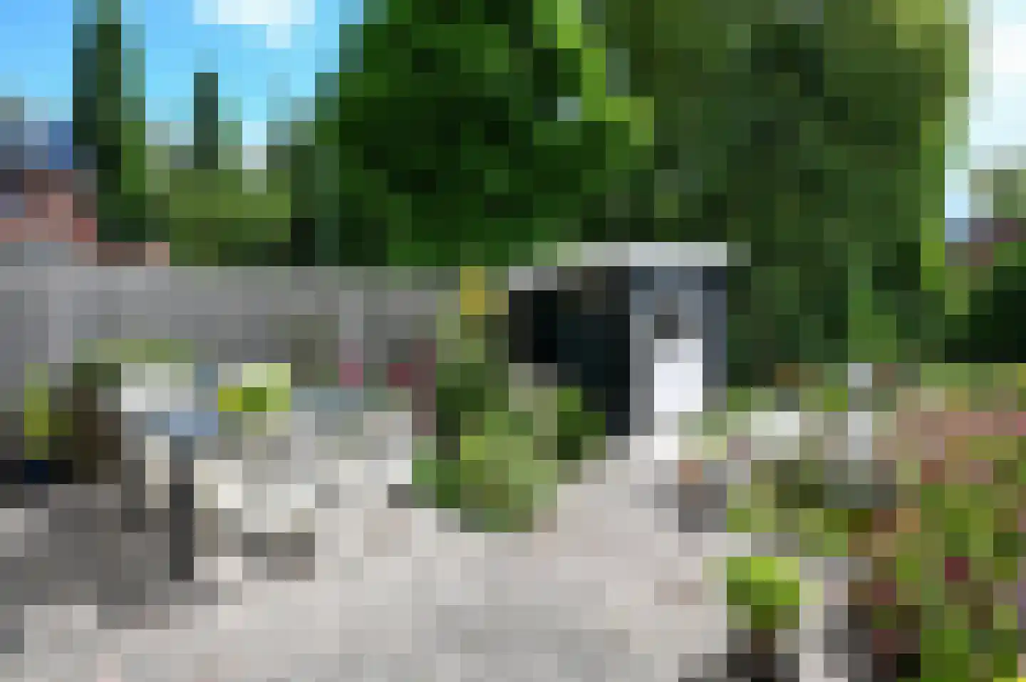 Noorse Lijster 11 Uithoorn thumbnail 29