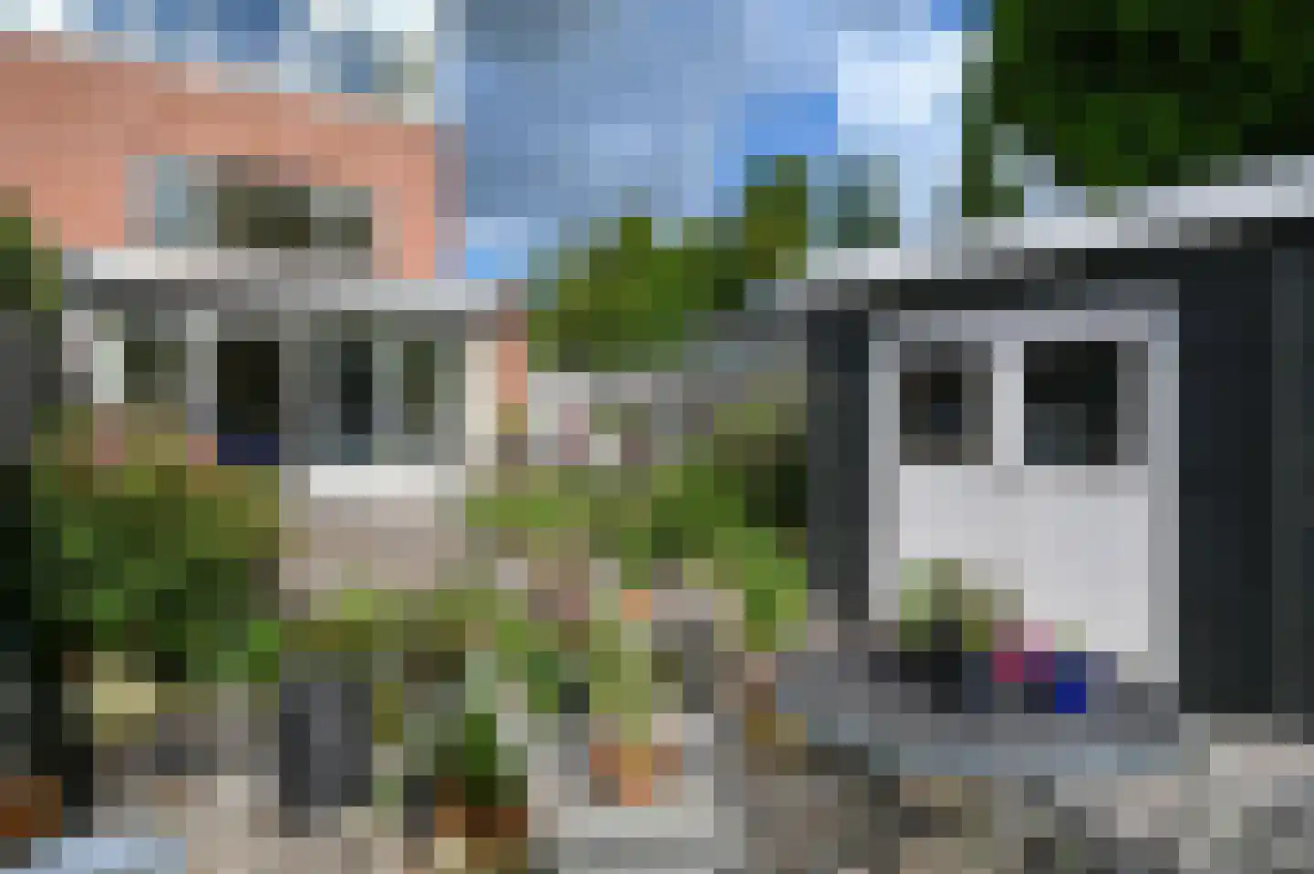 Noorse Lijster 11 Uithoorn thumbnail 30