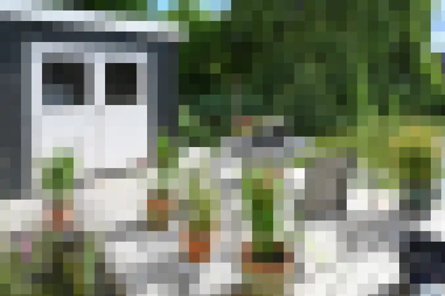 Noorse Lijster 11 Uithoorn thumbnail 32