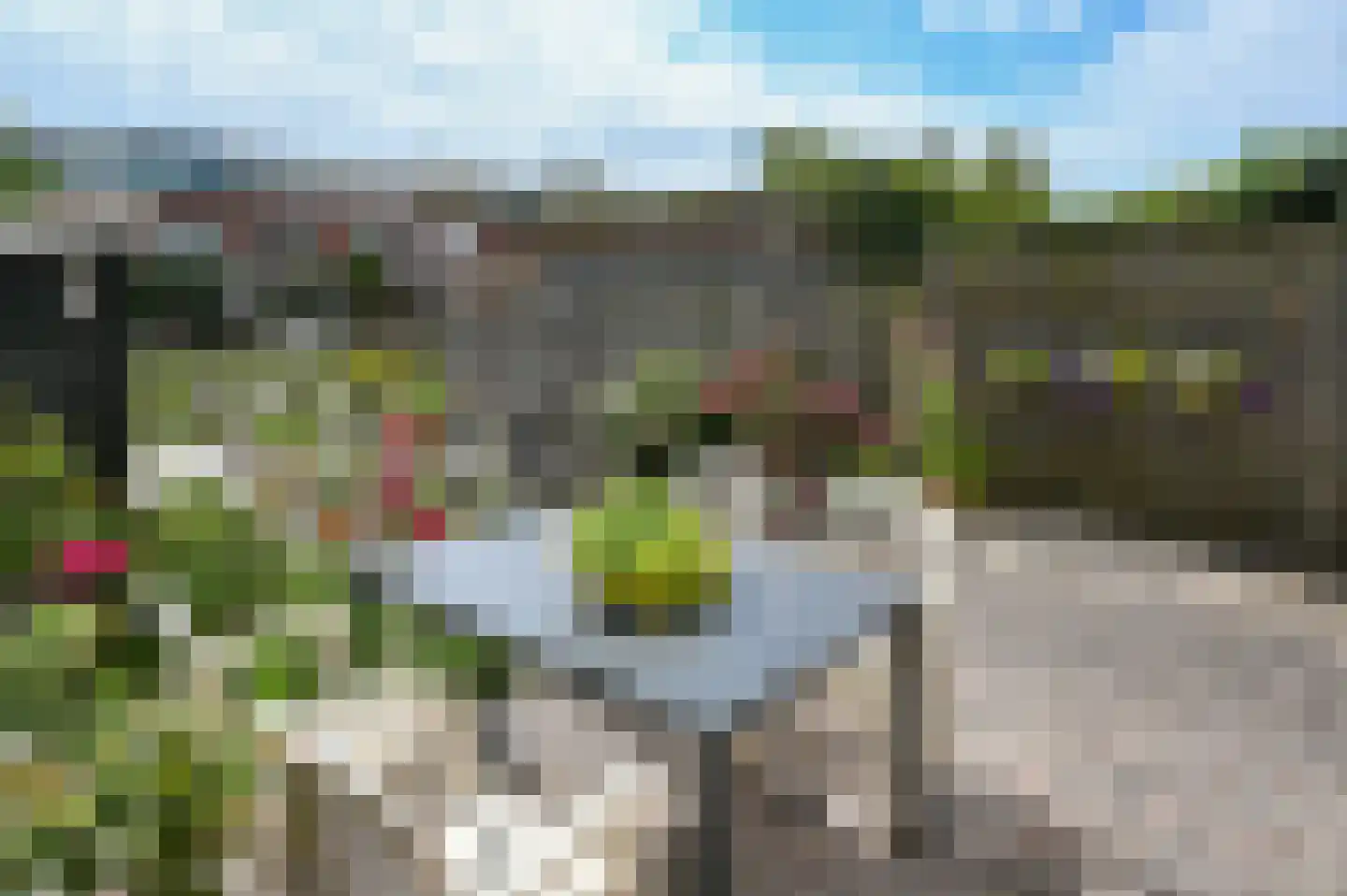 Noorse Lijster 11 Uithoorn thumbnail 33