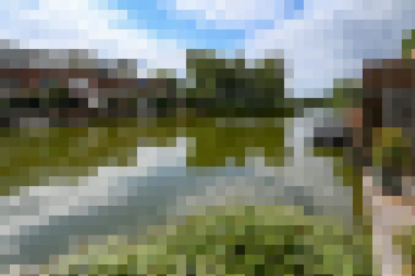 Noorse Lijster 11 Uithoorn thumbnail 34