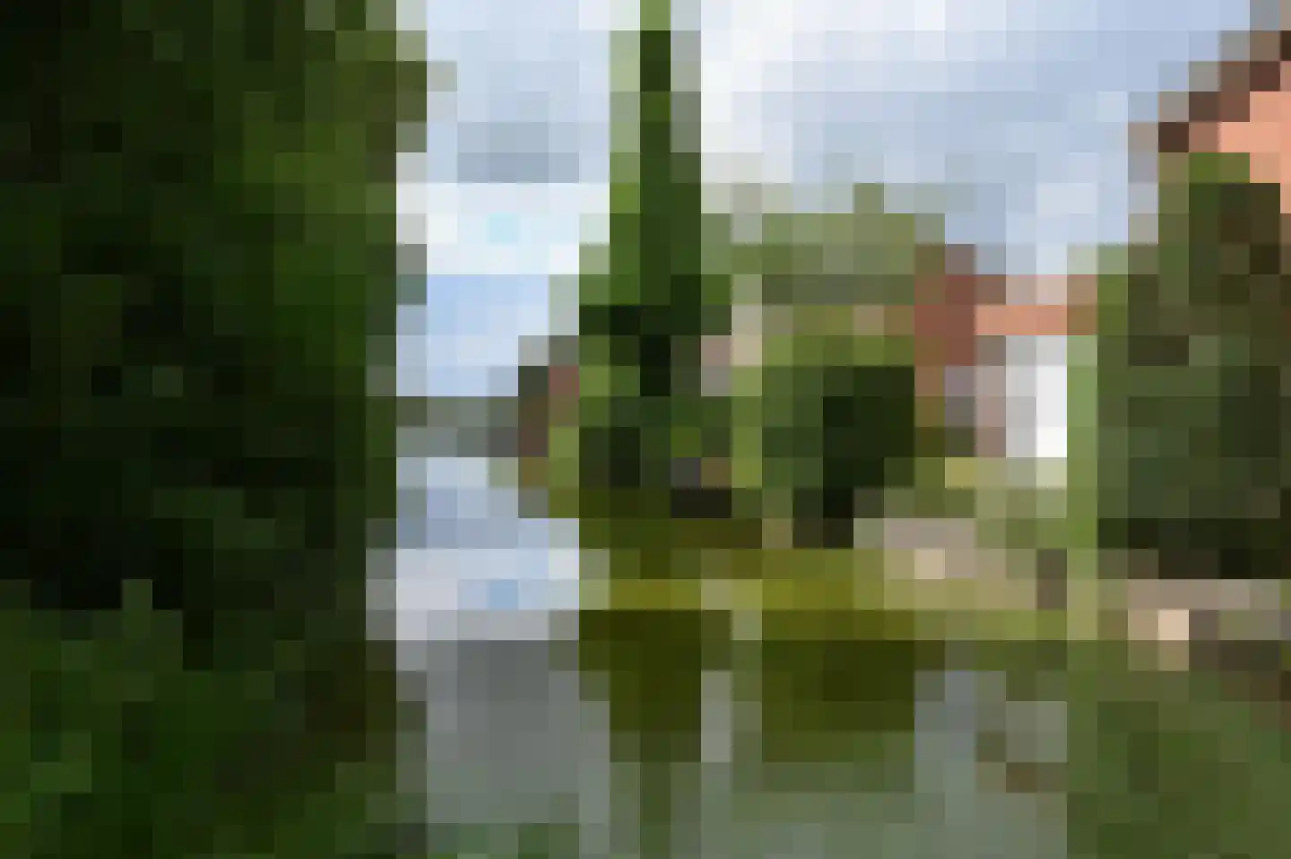Noorse Lijster 11 Uithoorn thumbnail 36