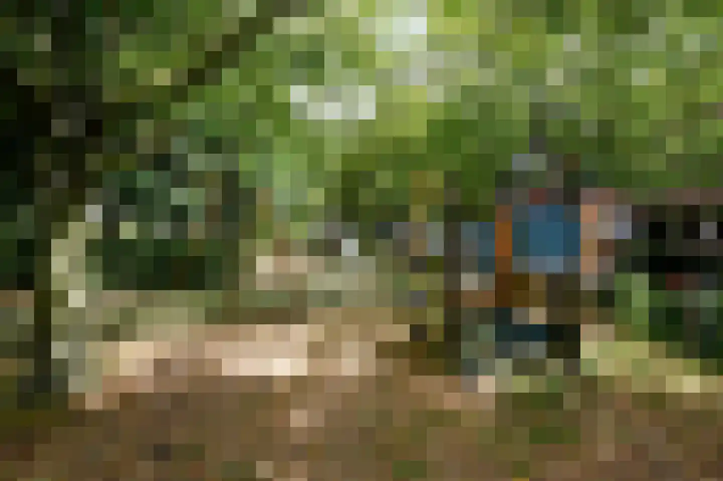 Noorse Lijster 11 Uithoorn thumbnail 37