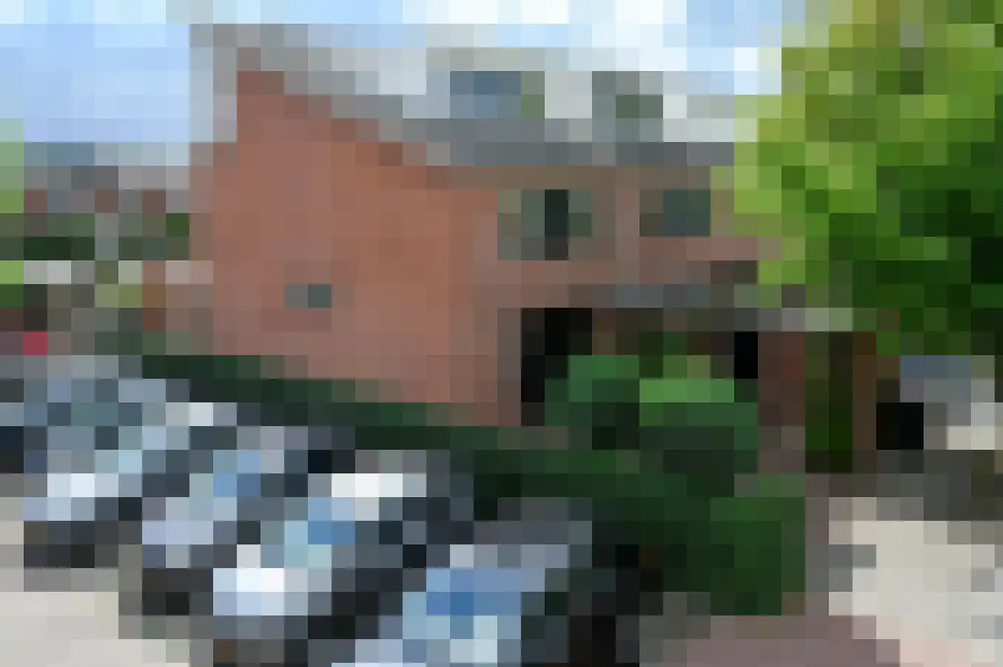 Noorse Lijster 11 Uithoorn thumbnail 4