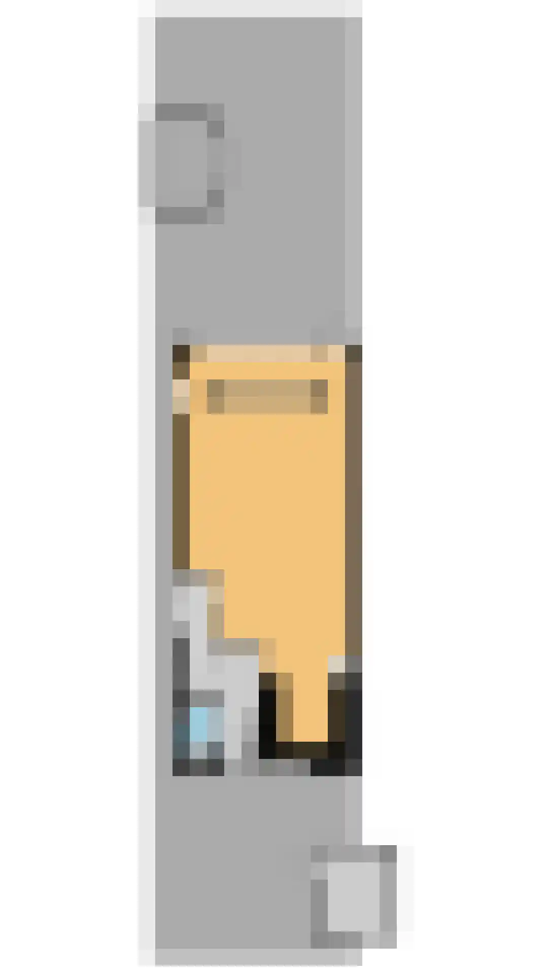Noorse Lijster 11 Uithoorn thumbnail 41