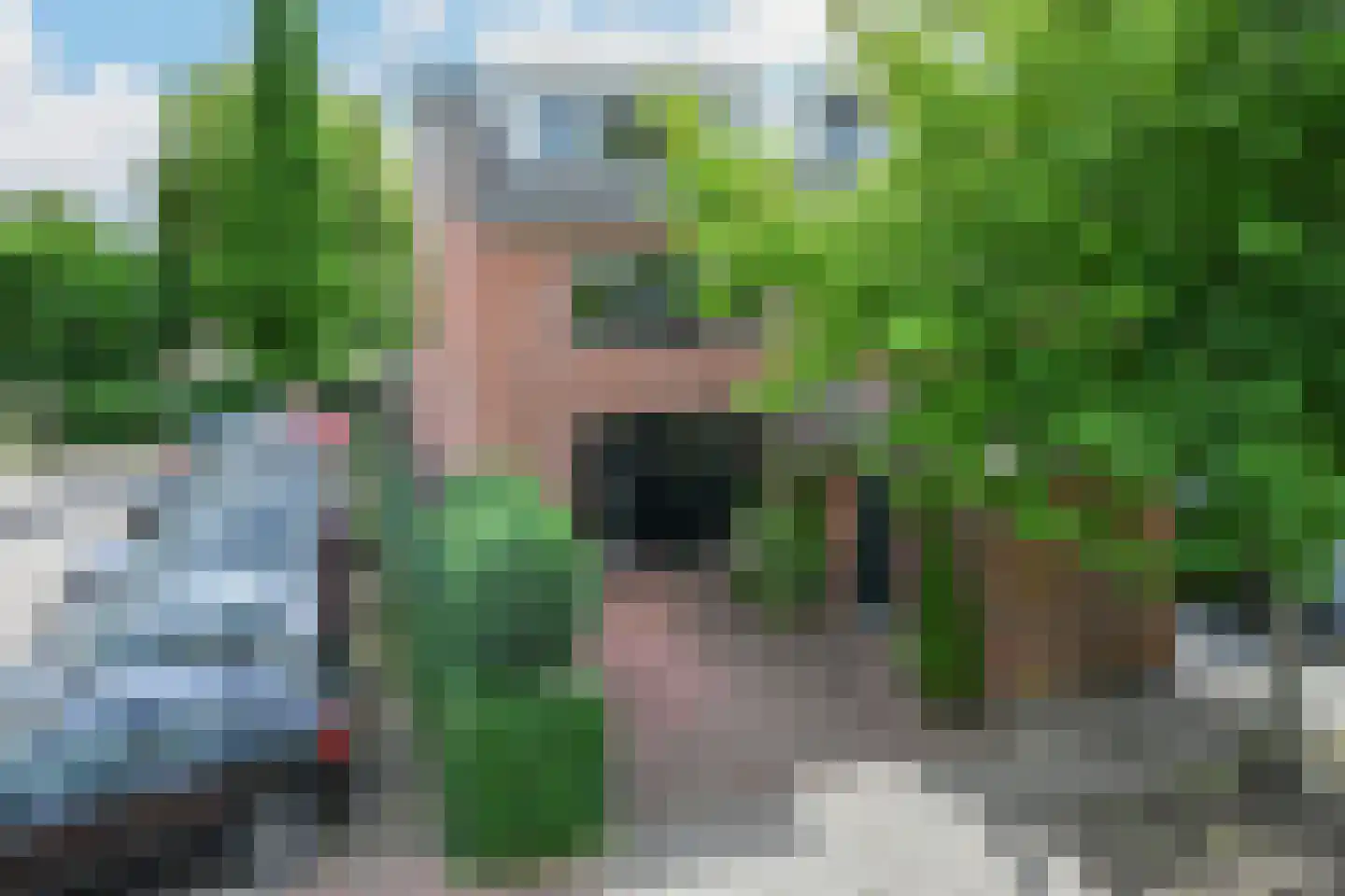 Noorse Lijster 11 Uithoorn thumbnail 5