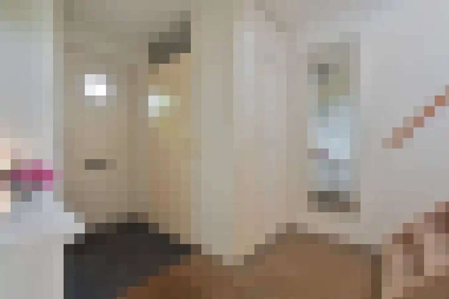 Noorse Lijster 11 Uithoorn thumbnail 6