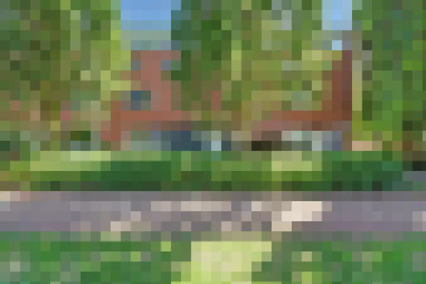 Noorse Lijster 3 Uithoorn