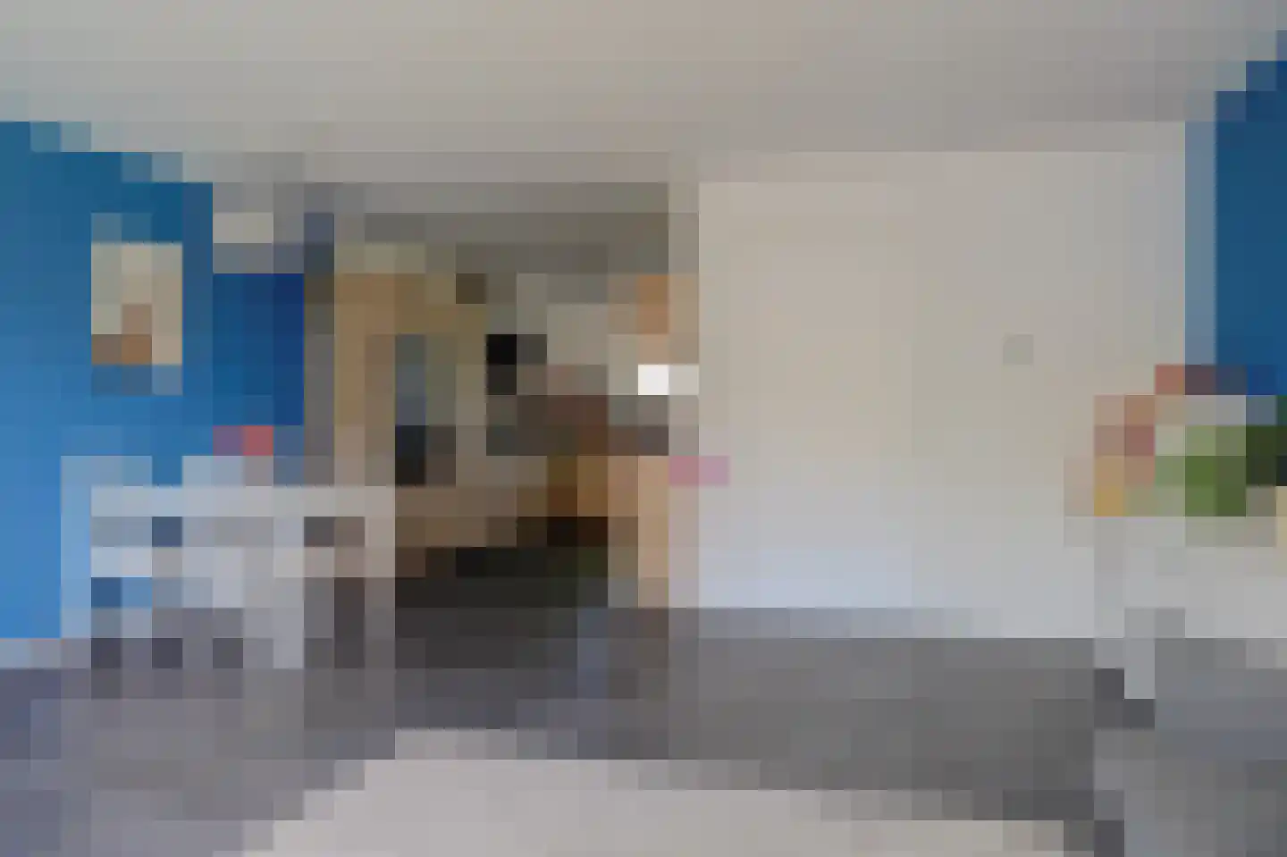 Noorse Lijster 3 Uithoorn thumbnail 10