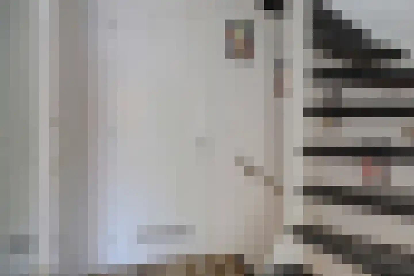 Noorse Lijster 3 Uithoorn thumbnail 17