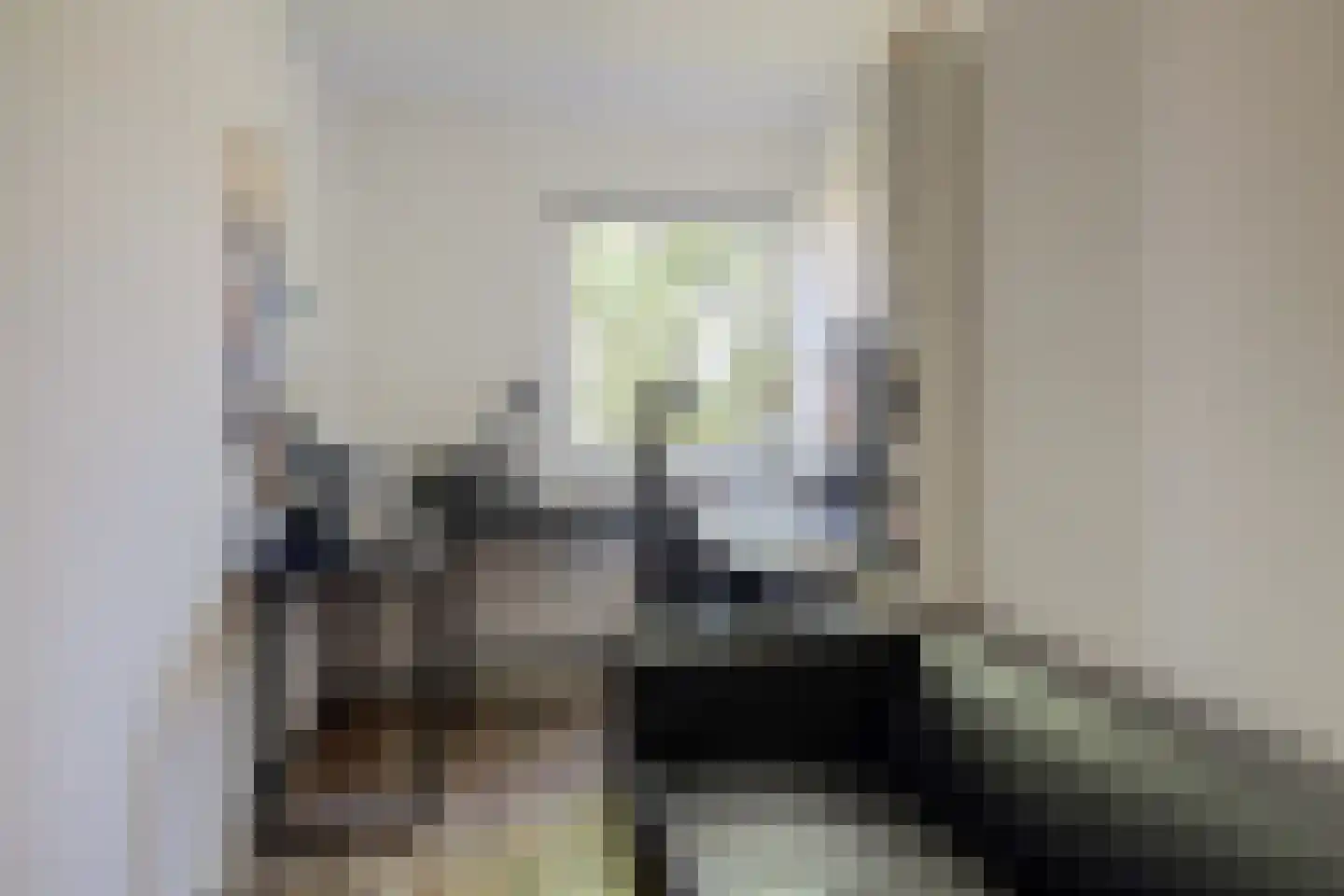 Noorse Lijster 3 Uithoorn thumbnail 22