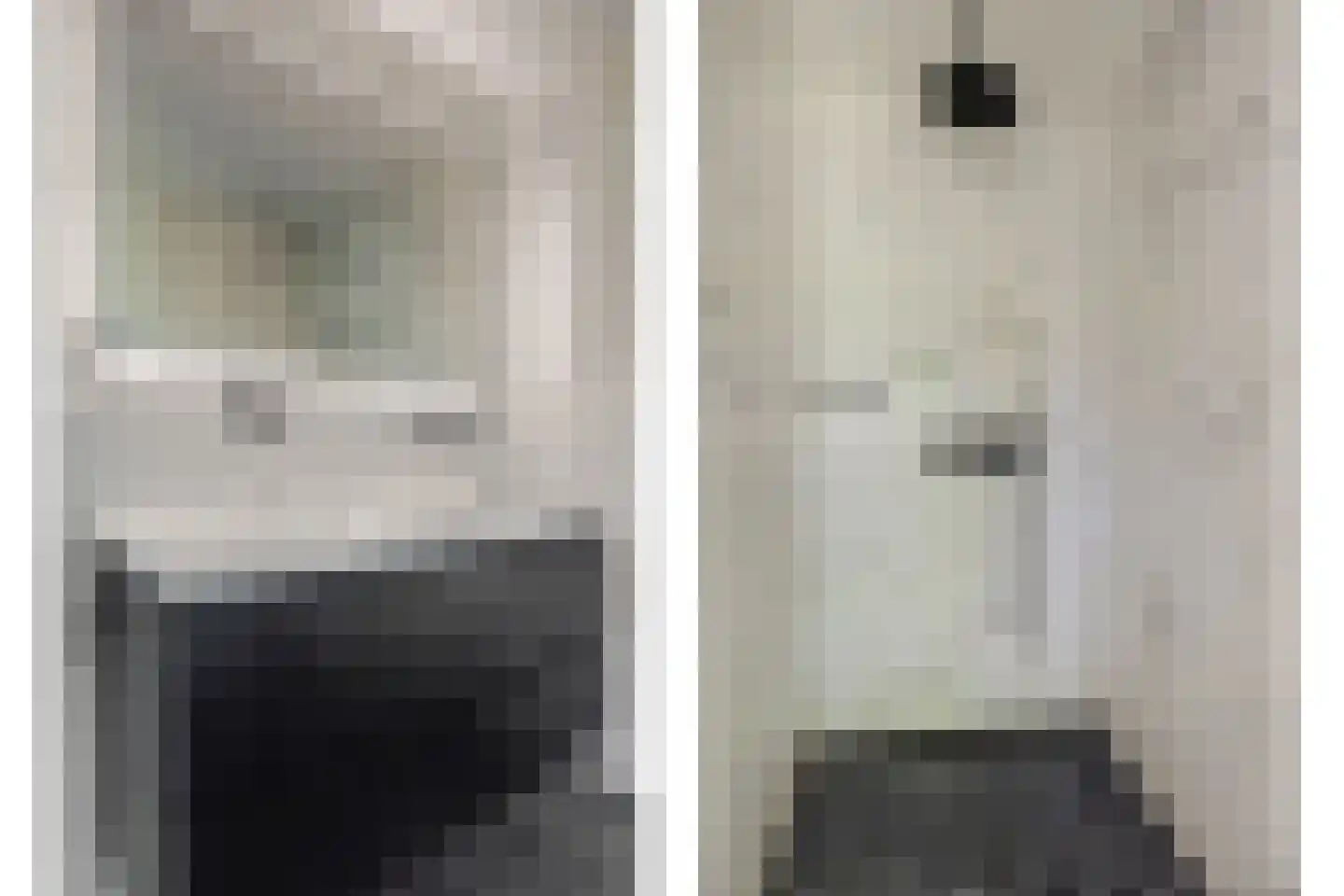 Noorse Lijster 3 Uithoorn thumbnail 27