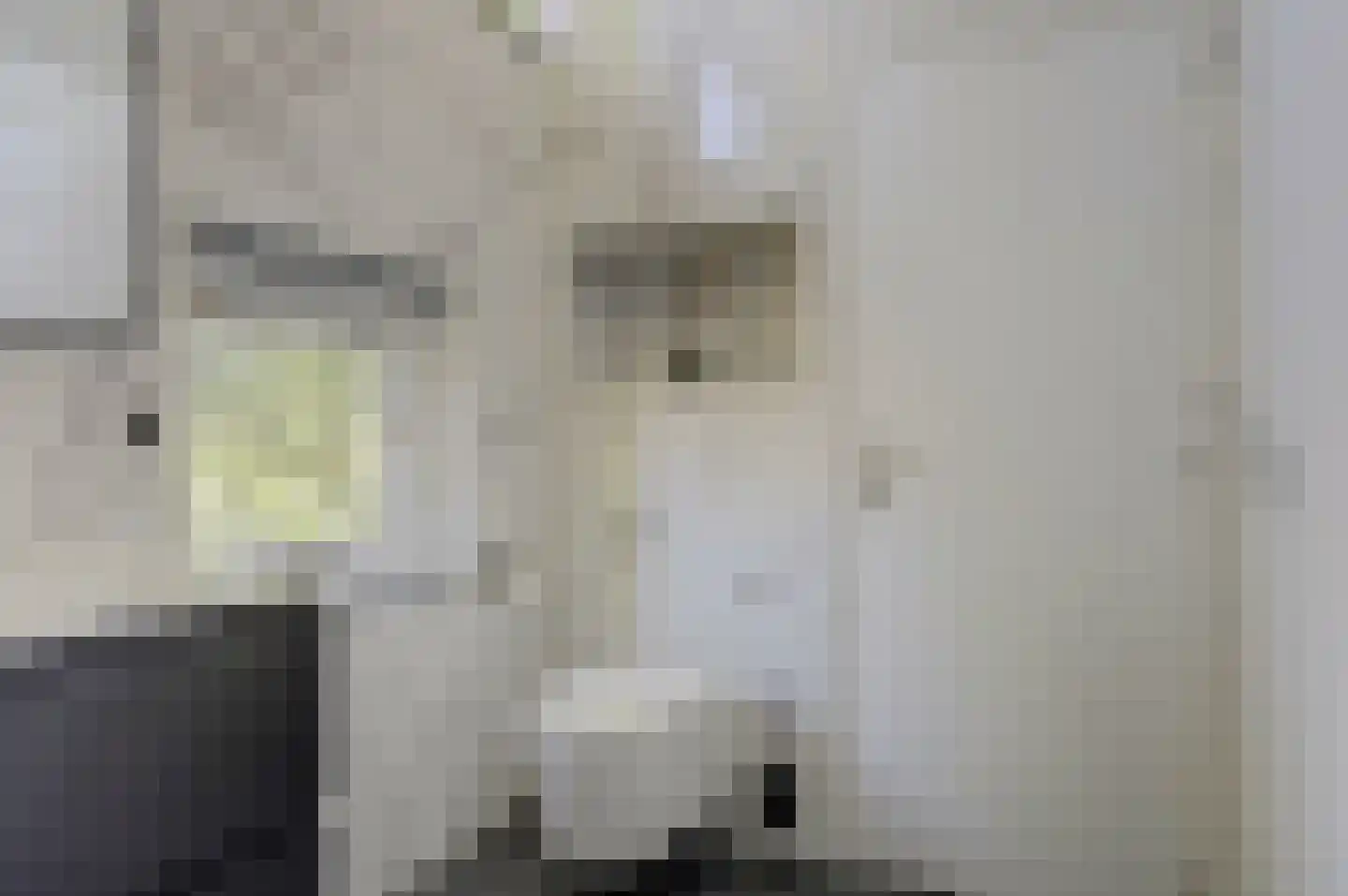 Noorse Lijster 3 Uithoorn thumbnail 32