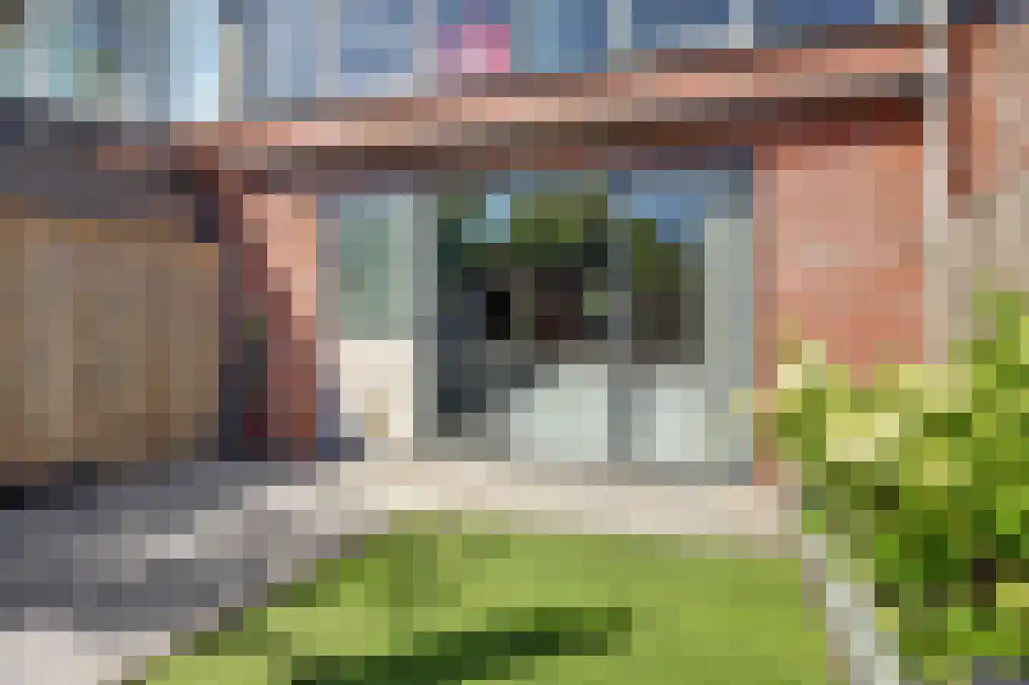 Noorse Lijster 3 Uithoorn thumbnail 38