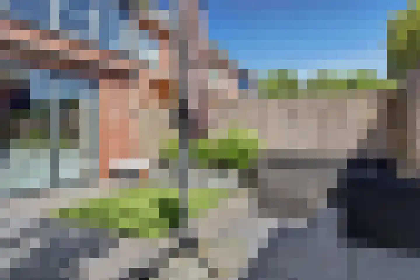 Noorse Lijster 3 Uithoorn thumbnail 39