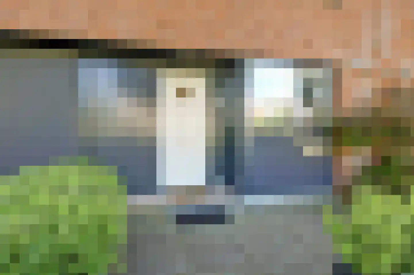 Noorse Lijster 3 Uithoorn thumbnail 4