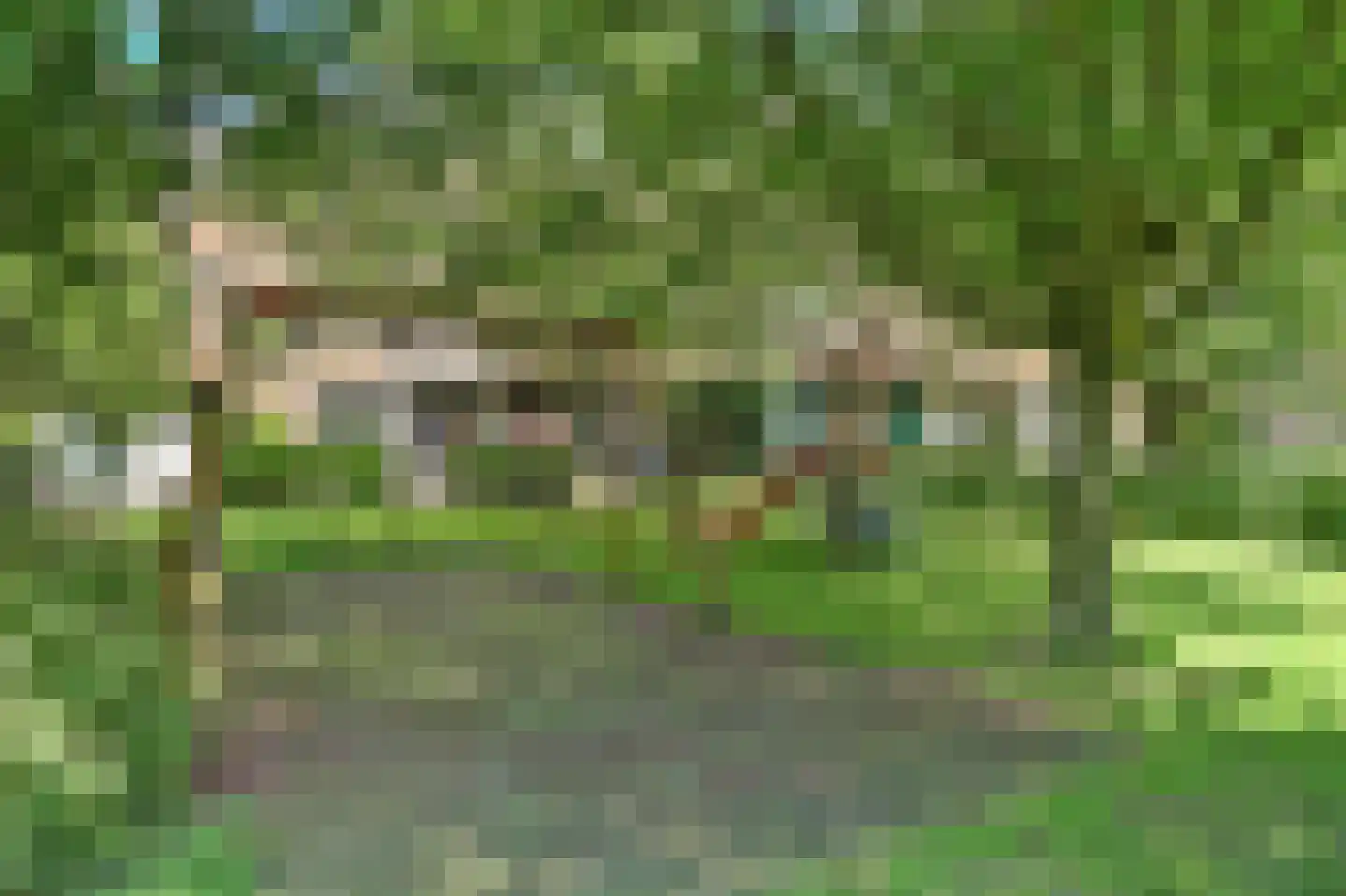 Noorse Lijster 3 Uithoorn thumbnail 42