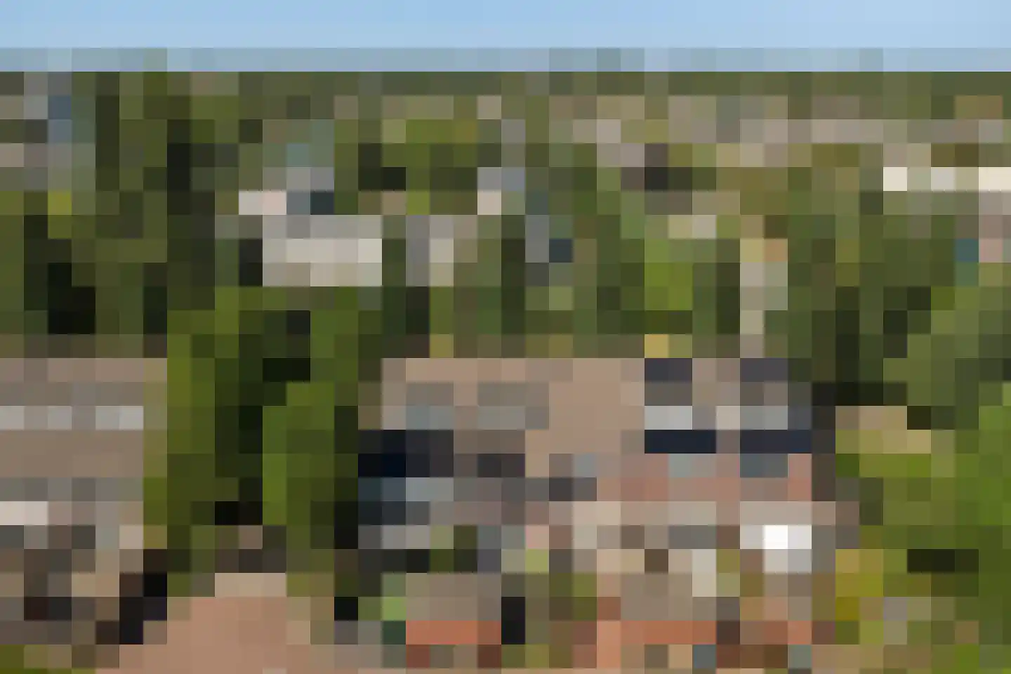 Noorse Lijster 3 Uithoorn thumbnail 45