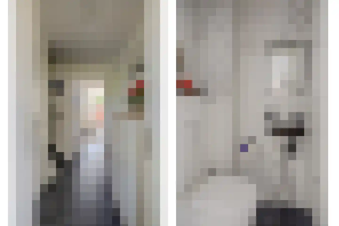 Noorse Lijster 3 Uithoorn thumbnail 6